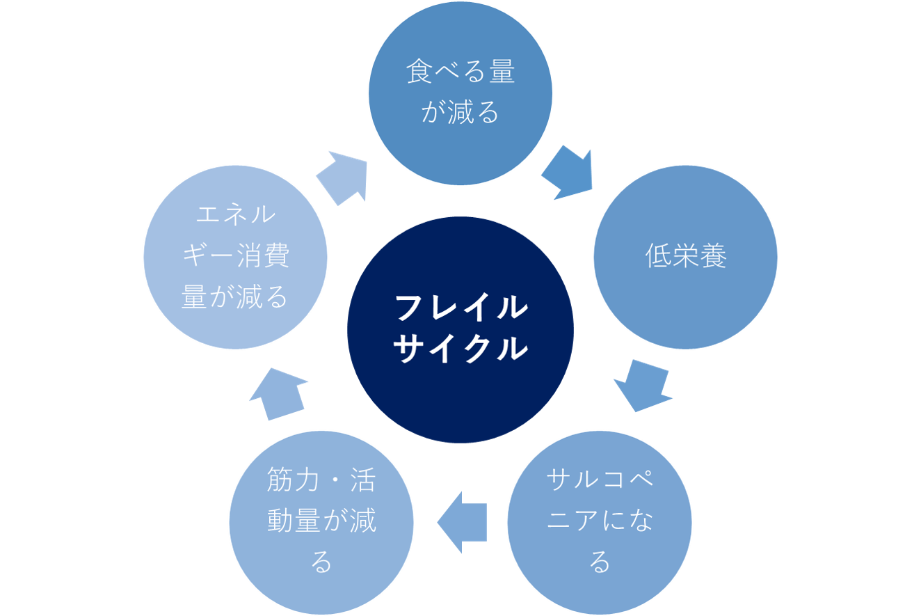 一歩先は要介護 注意すべき フレイル の判断基準と予防方法 シニアのあんしん相談室 宅配ごはん案内