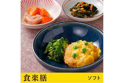食楽膳ソフトお試し5食セット（送料別途）